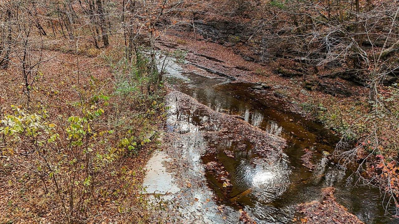 9826 Highway 412 - Photo 1