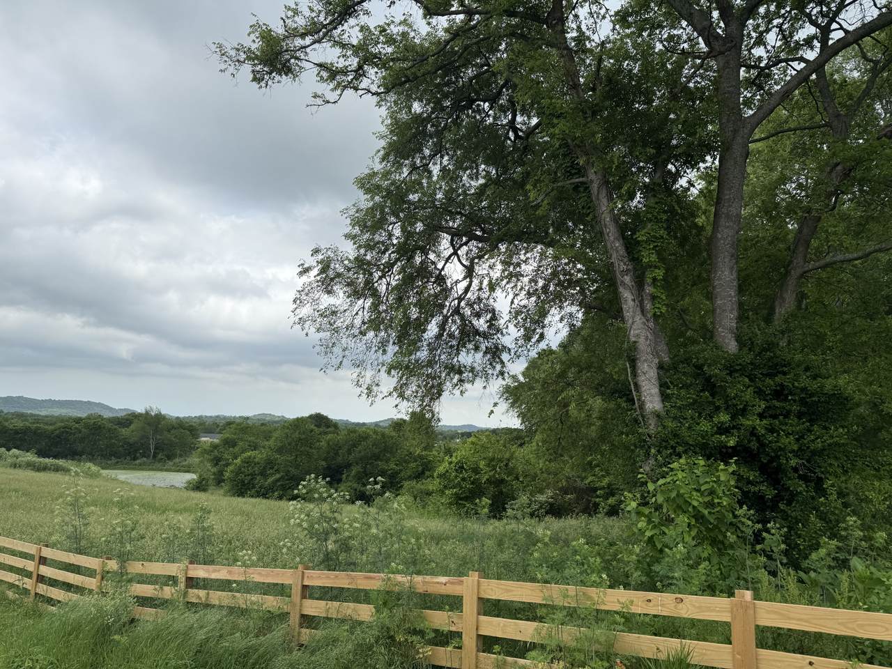 1024 Peak Dr - Photo 1