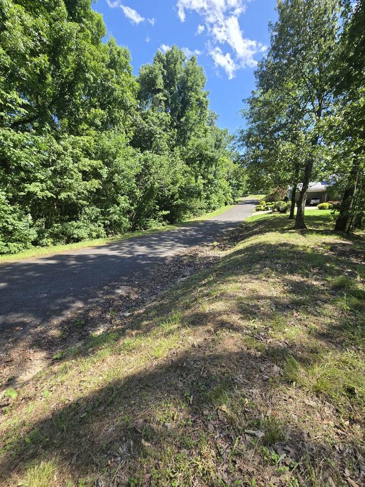 https://bt-photos.global.ssl.fastly.net/nashville/1280_boomver_1_RTC2890860-1.jpg