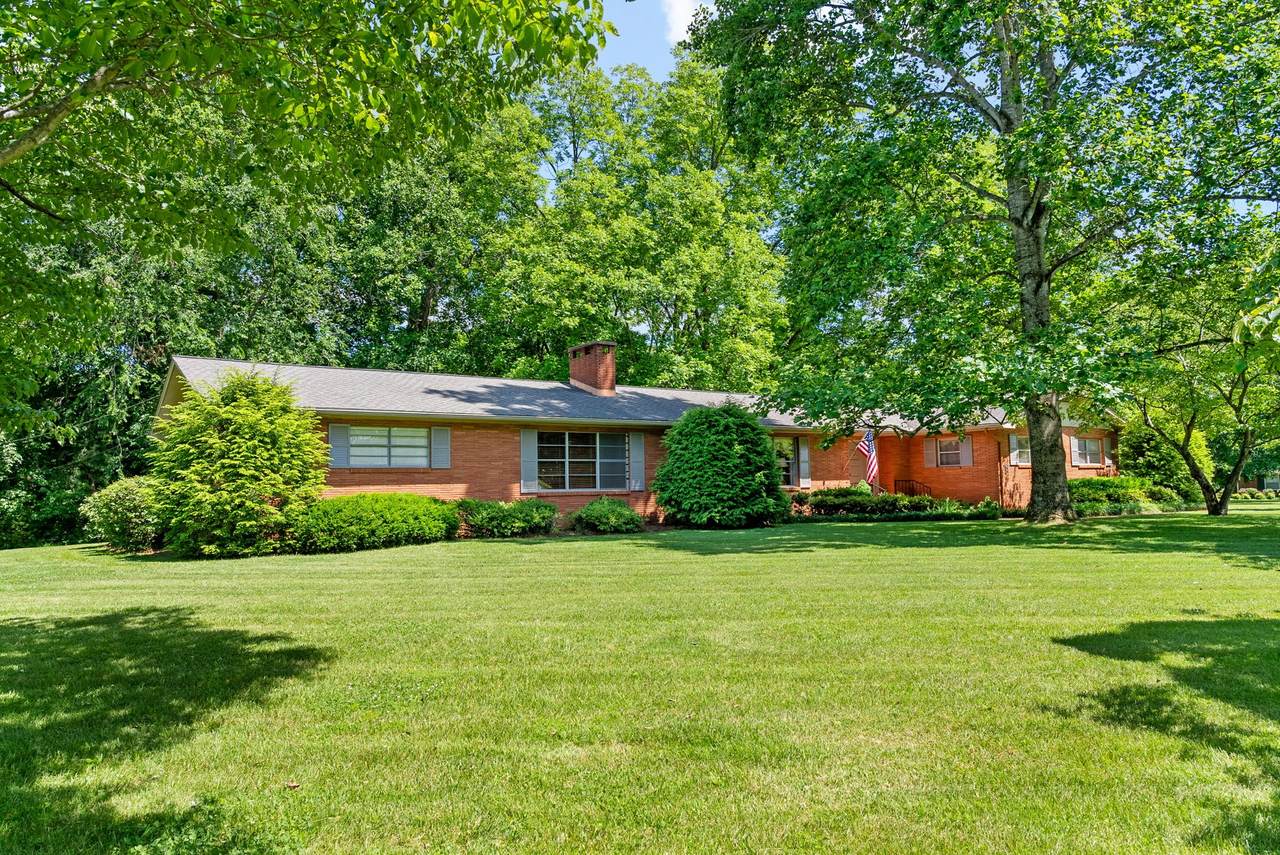 6 Canterbury Rd - Photo 1