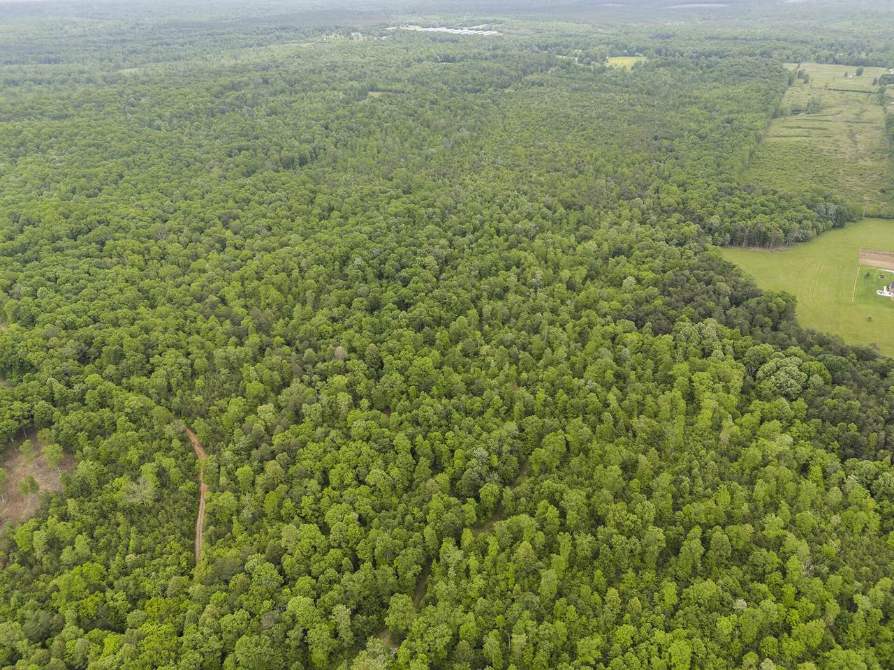 2361 Colony Road - Photo 1