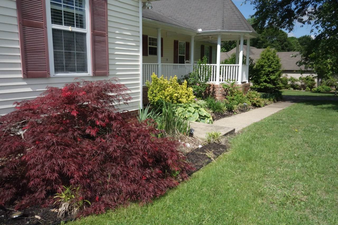 55 Bluebird Ln - Photo 1