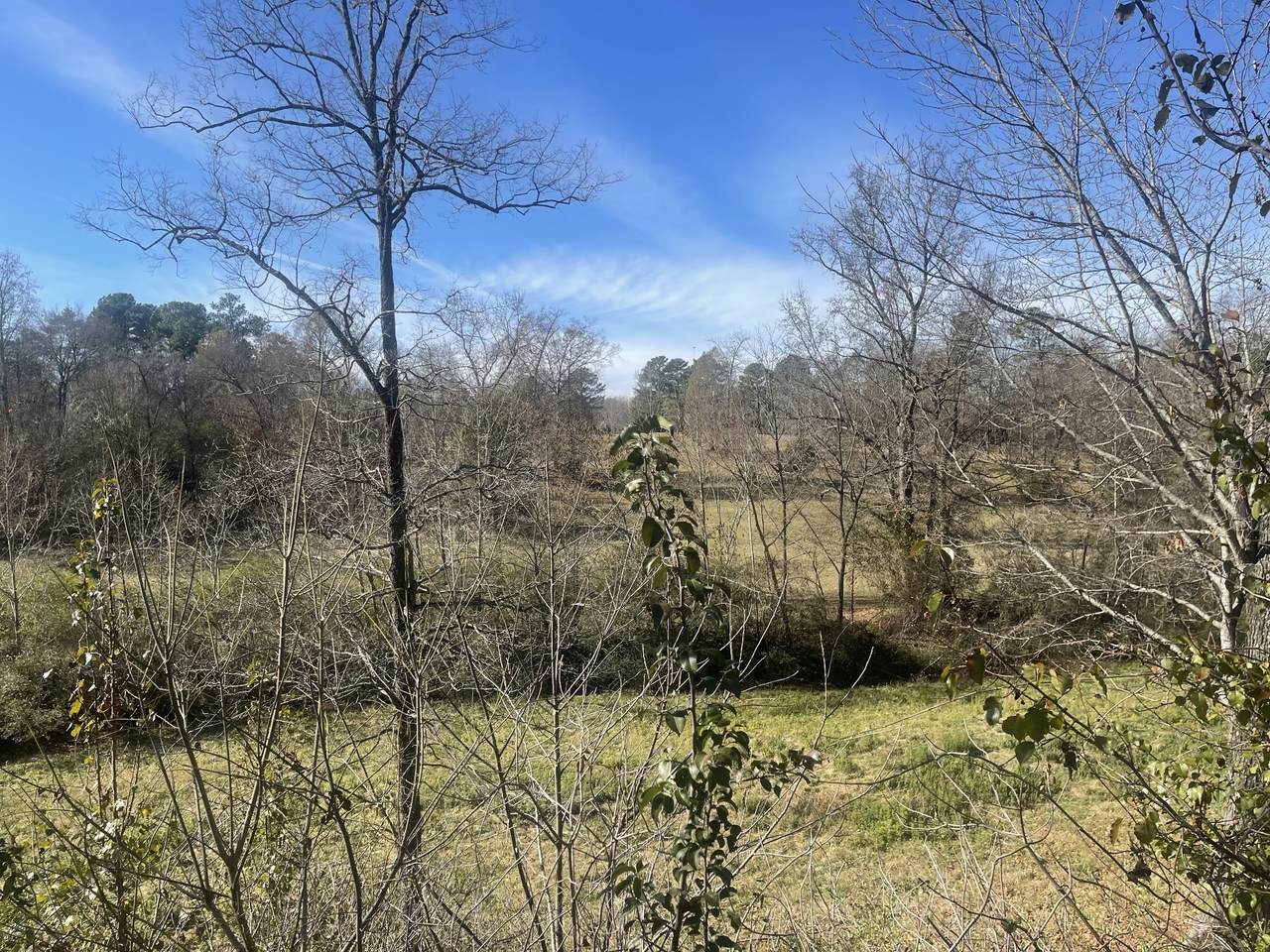 2449 Buffalo Rd - Photo 1
