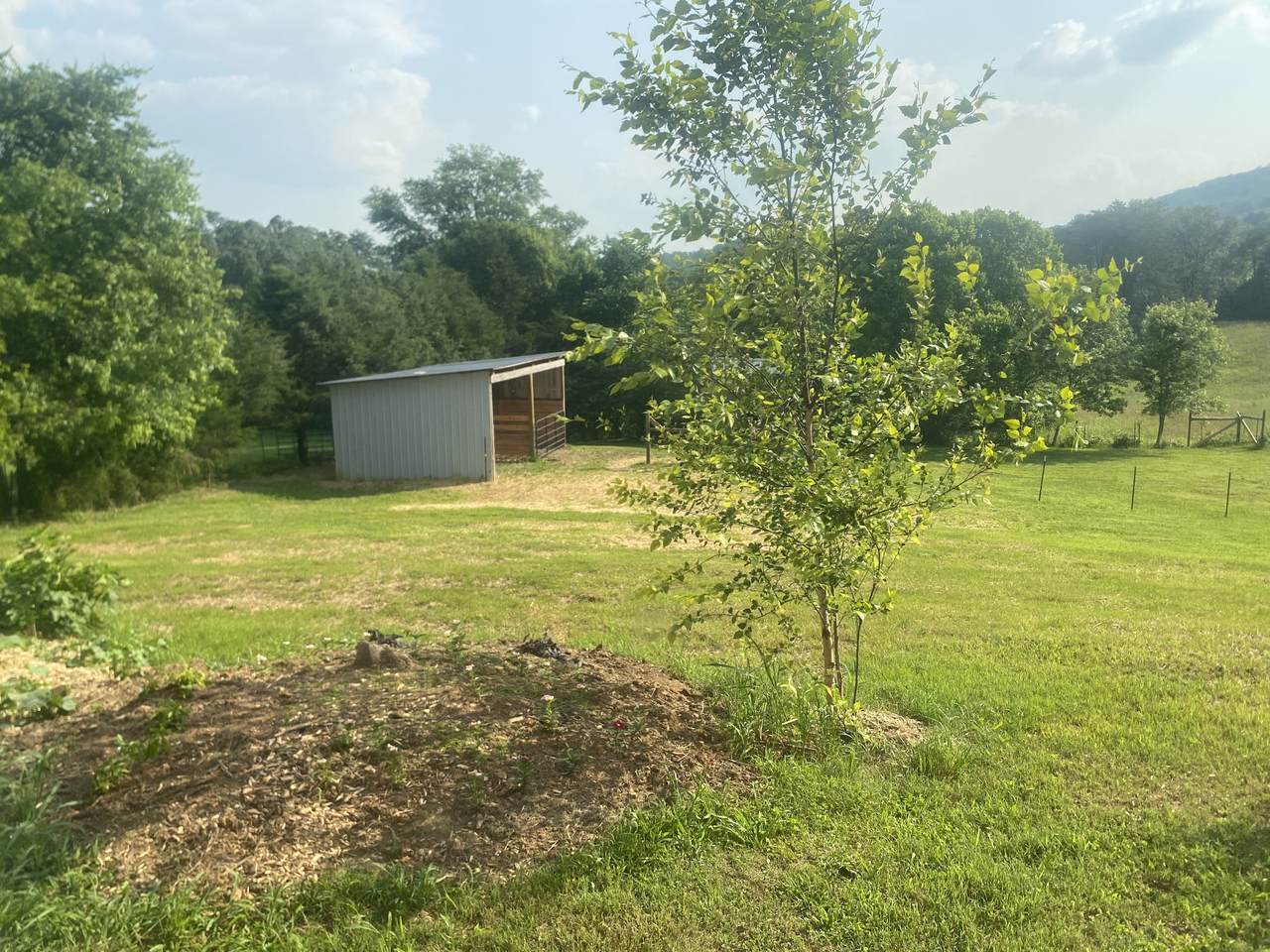 https://bt-photos.global.ssl.fastly.net/nashville/1280_boomver_1_RTC2905548-1.jpg