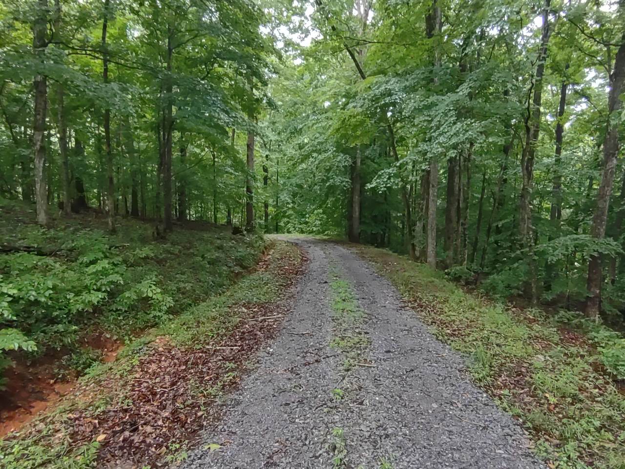 2332 Bear Creek Rd - Photo 1