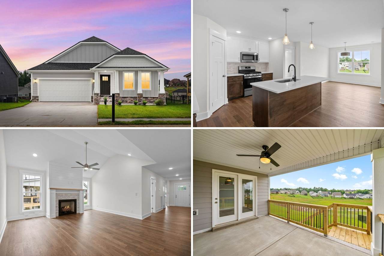 1573 Collins View Way - Photo 1