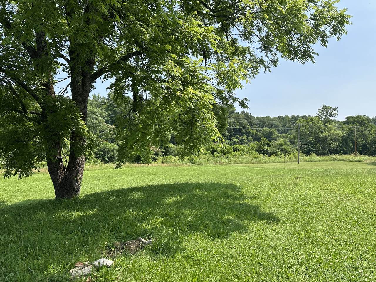 221 Carroll Ave - Photo 1