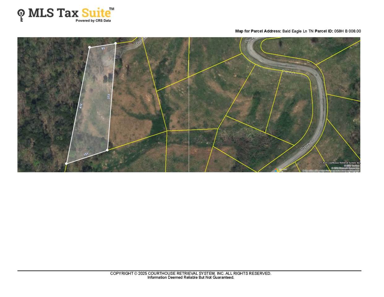 64B Bald Eagle - Photo 1