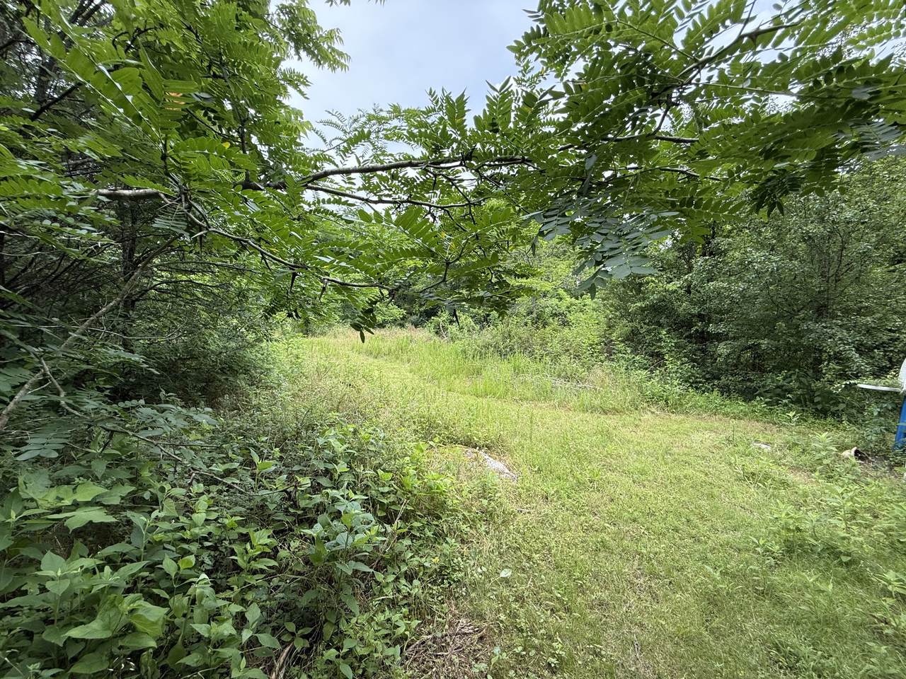 https://bt-photos.global.ssl.fastly.net/nashville/1280_boomver_1_RTC2907504-1.jpg