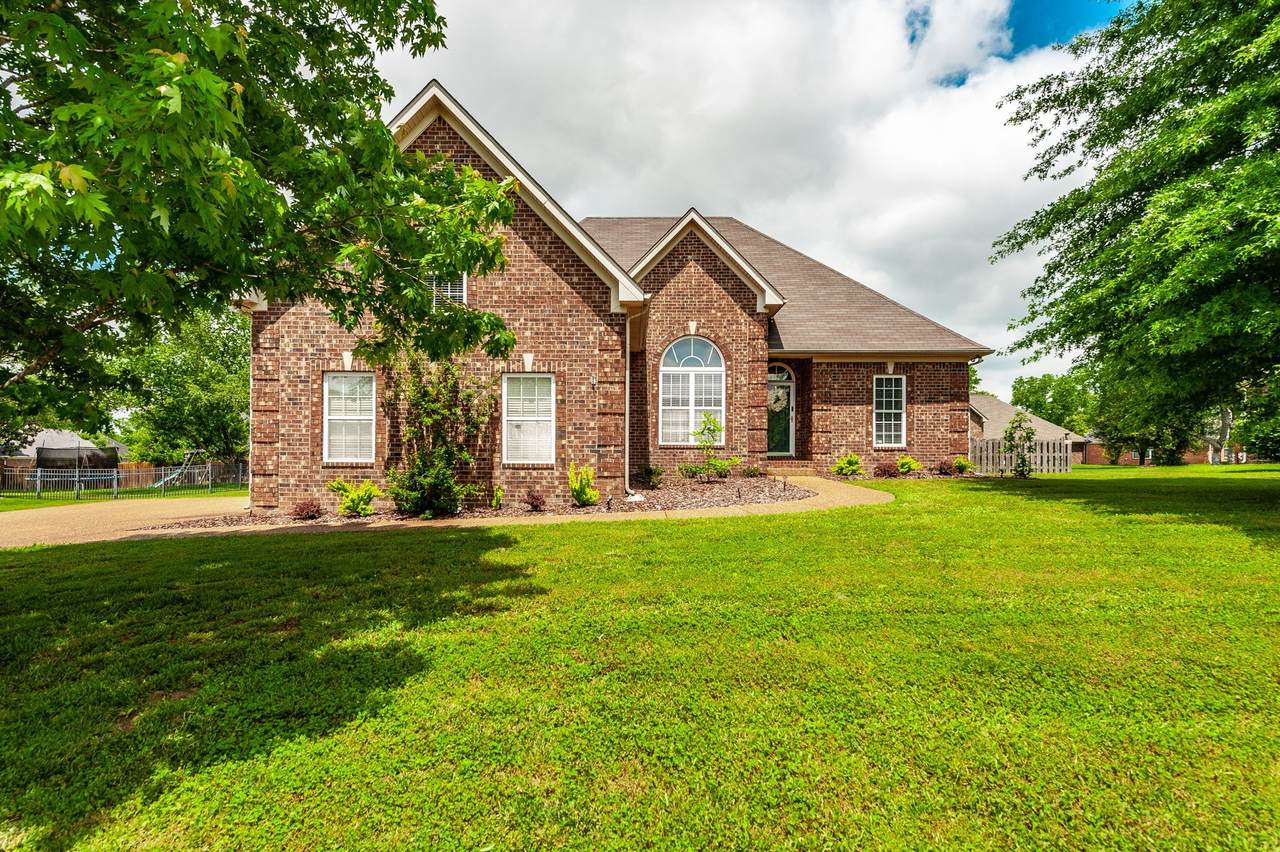1034 Grider Dr - Photo 1