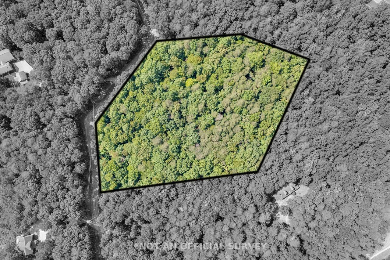 0 Bluff View - Photo 1