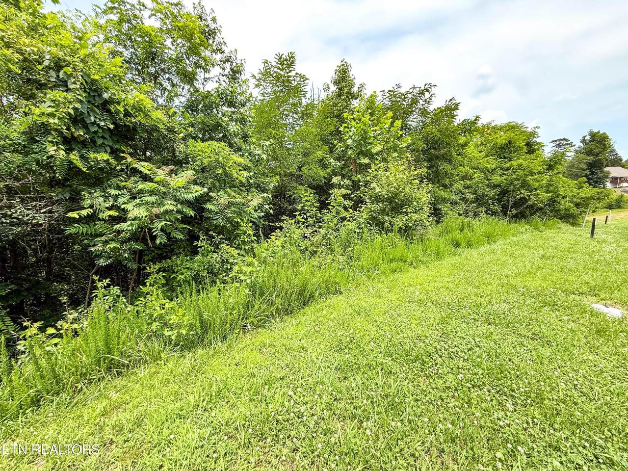 120 Willow Oak Drive - Photo 1