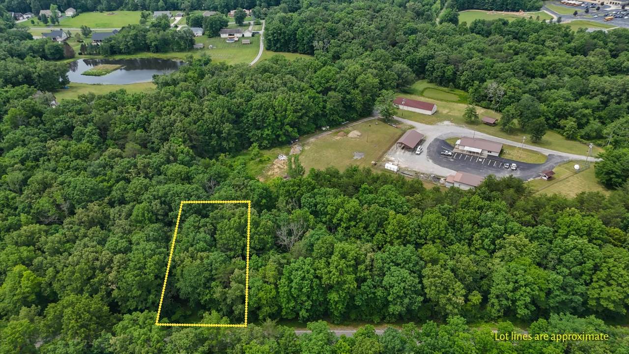 7030 Ute Ln - Photo 1