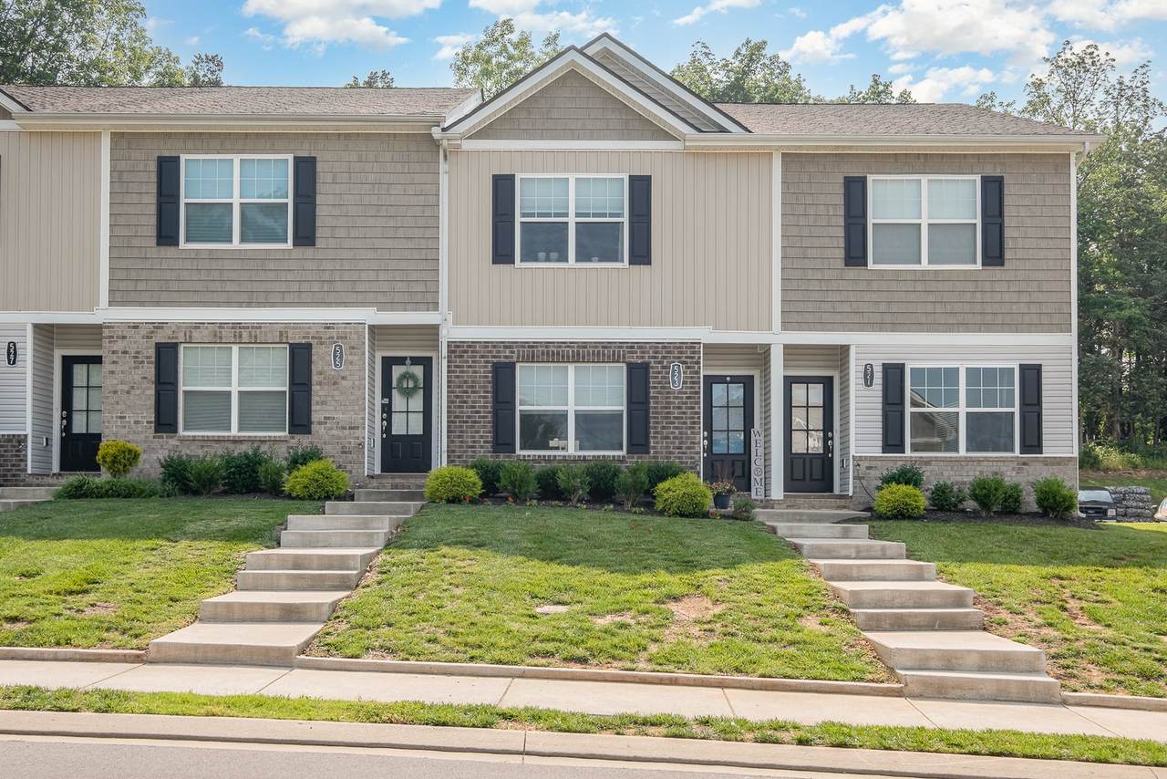 523 Moshe Flam Pl - Photo 1