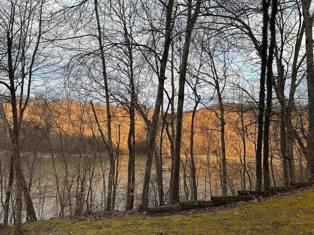 https://bt-photos.global.ssl.fastly.net/nashville/1280_boomver_1_RTC2914866-1.jpg