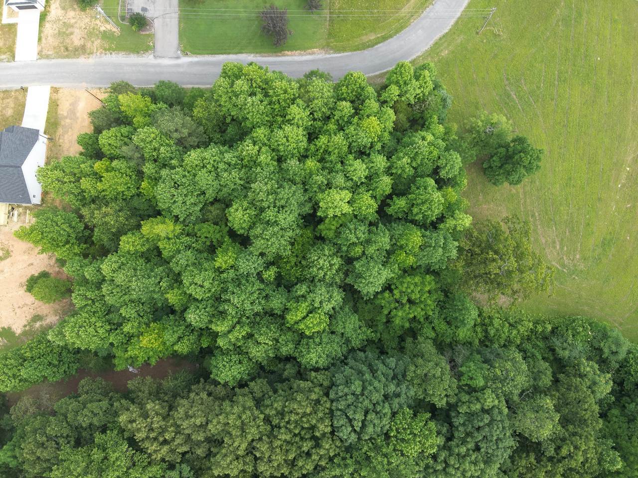 0 Lexie Lane - Photo 1