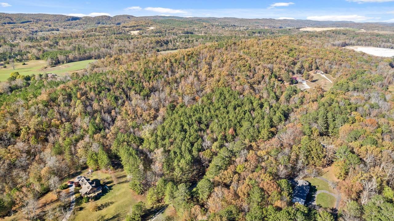 1492 Brymer Creek Road - Photo 1