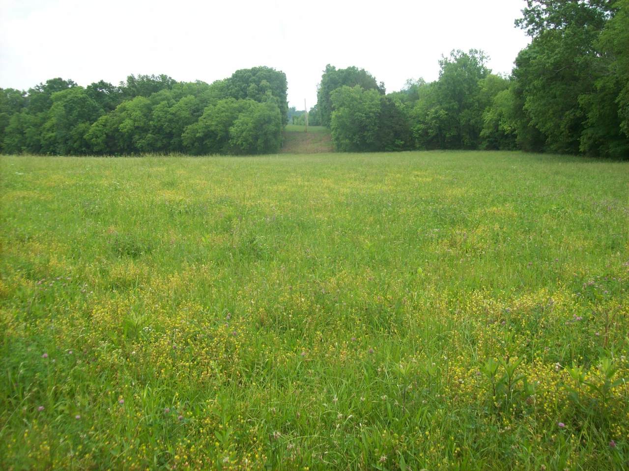 0 Hwy 130 E - Photo 1