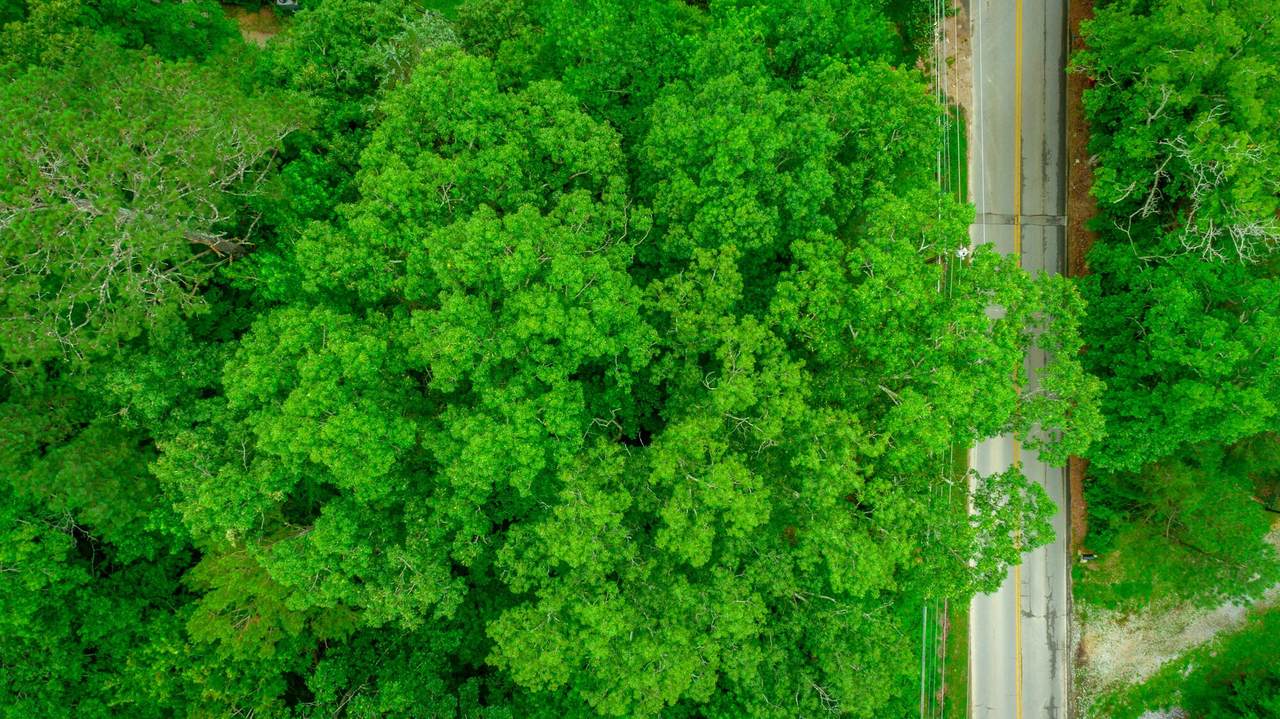 7441 Short Tail Springs Road - Photo 1