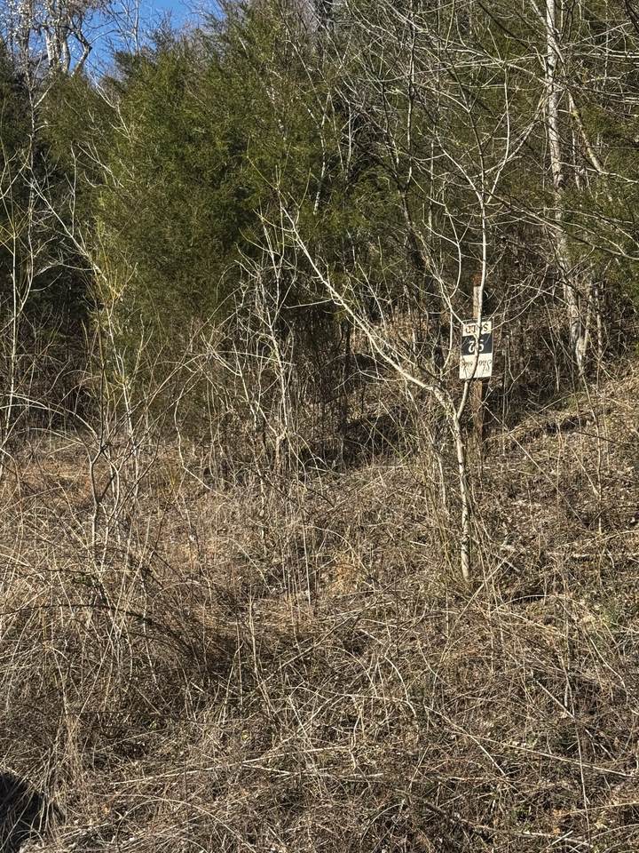 92 Shoreside Dr - Photo 1