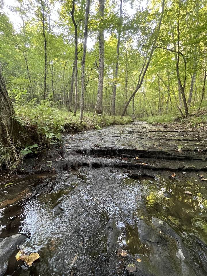 481 Hillbrook Dr - Photo 1