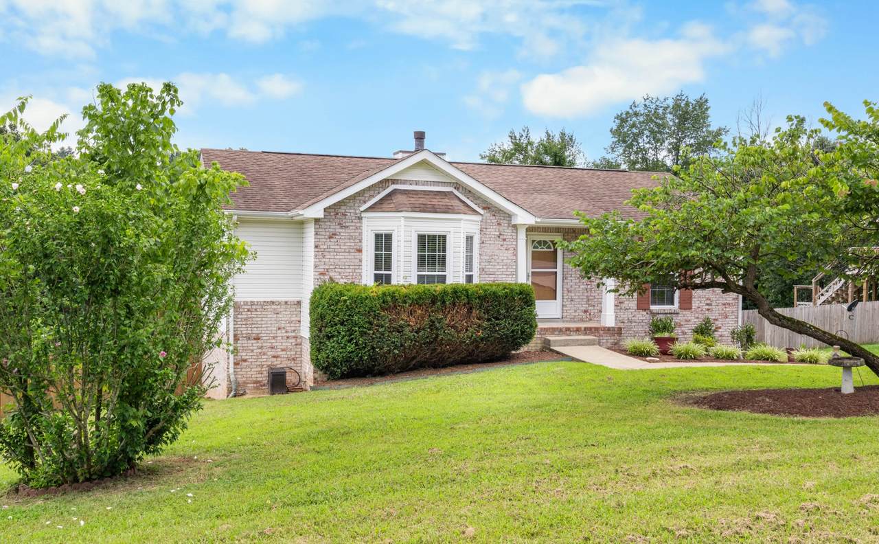 182 Cummings Creek Rd - Photo 1