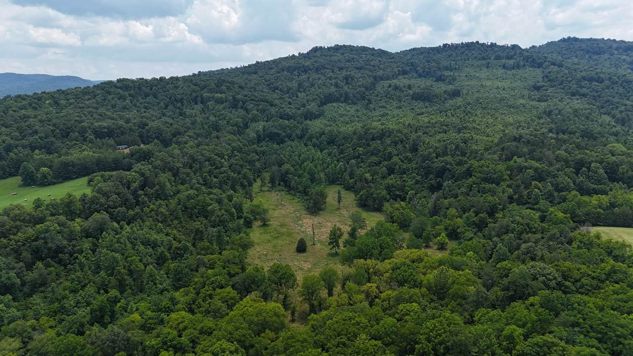0 Cane Creek Road - Photo 1