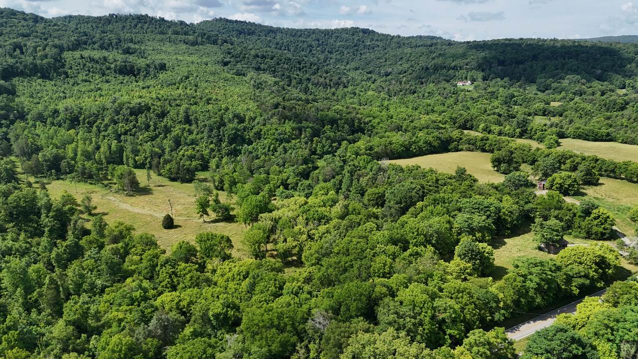 0 Cane Creek Road - Photo 1