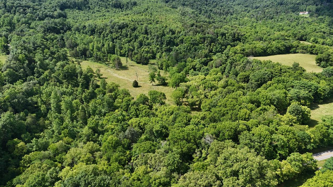 0 Cane Creek Road - Photo 1