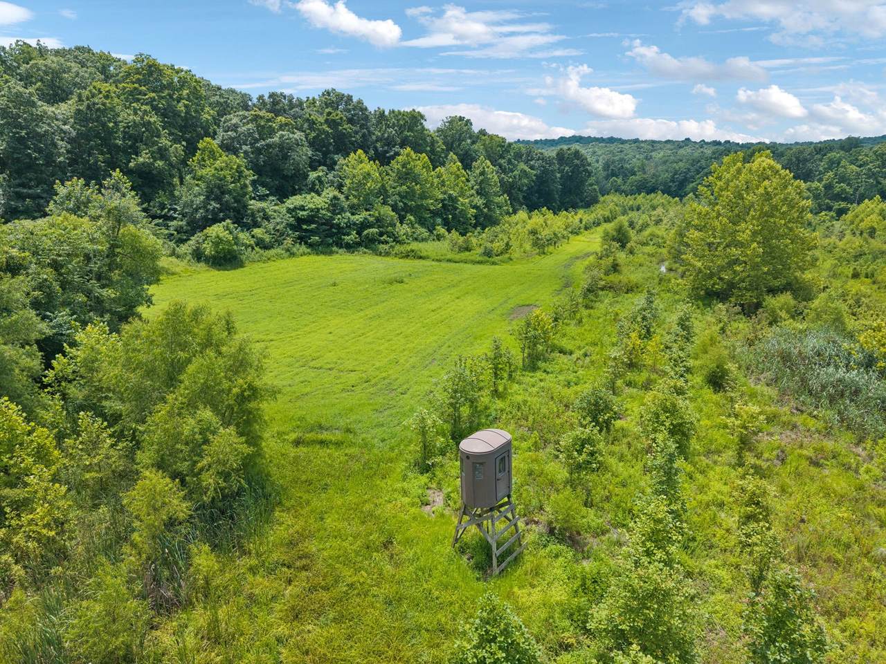 6047 Clifty K Ville Road - Photo 1