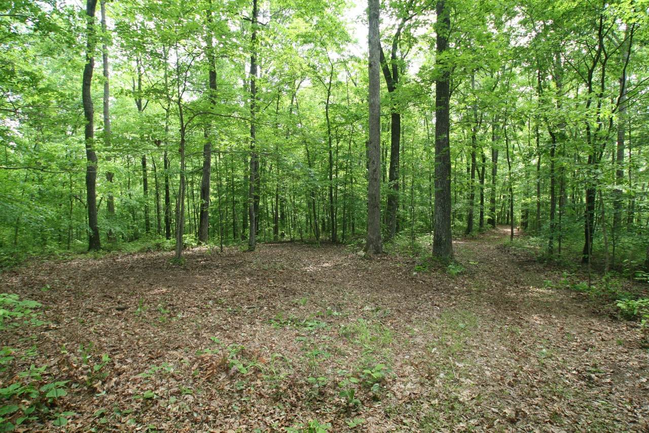 5671 Pinewood Rd - Photo 1