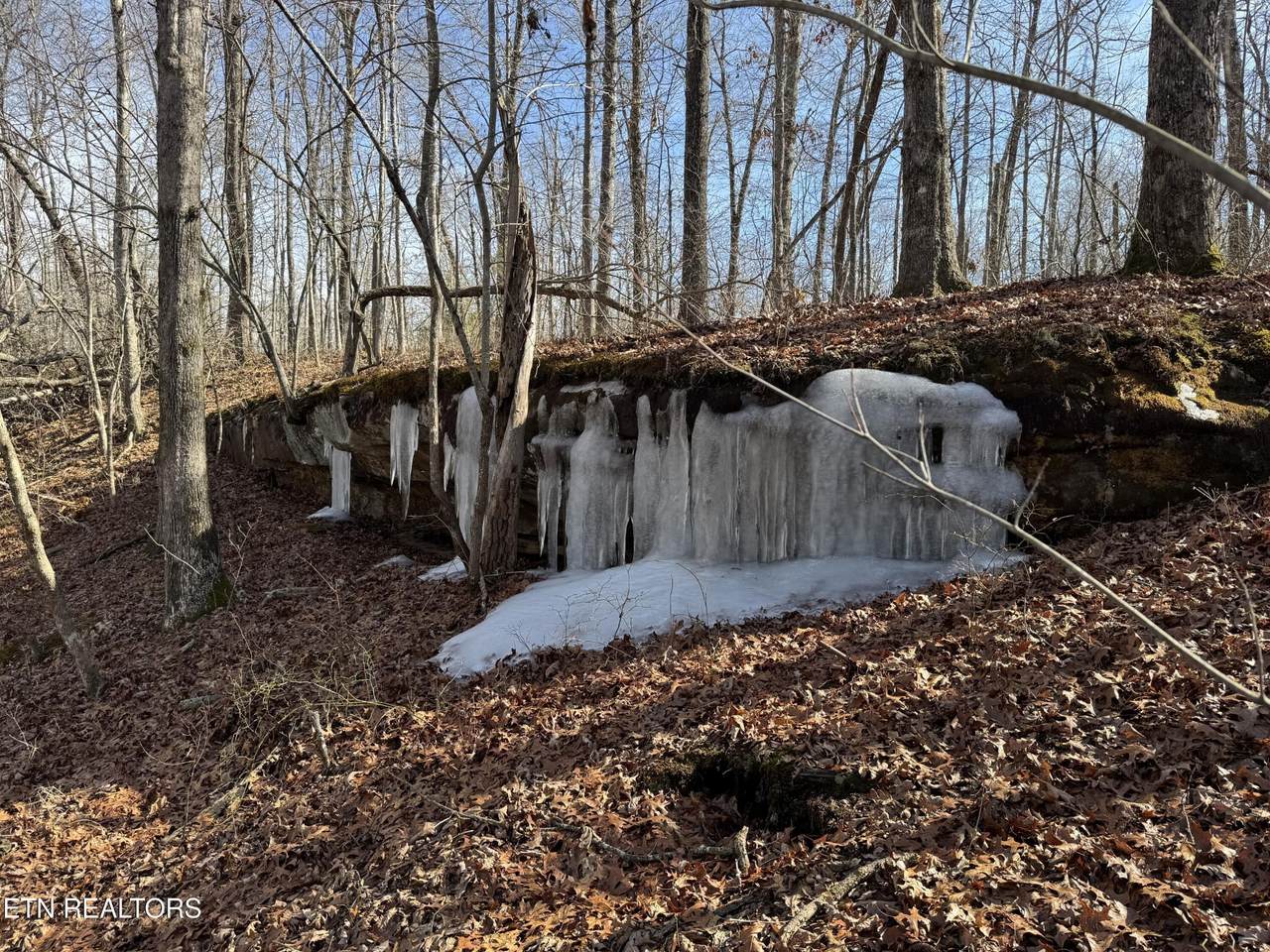 37 Crystal Point - Photo 1