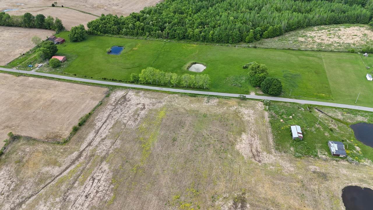 0 Blanton School Rd - Photo 1
