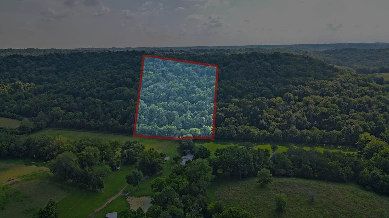 0 Martin Hollow Rd - Photo 1