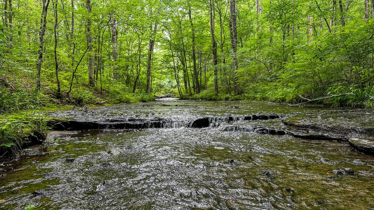 0 Catheys Creek Road - Photo 1