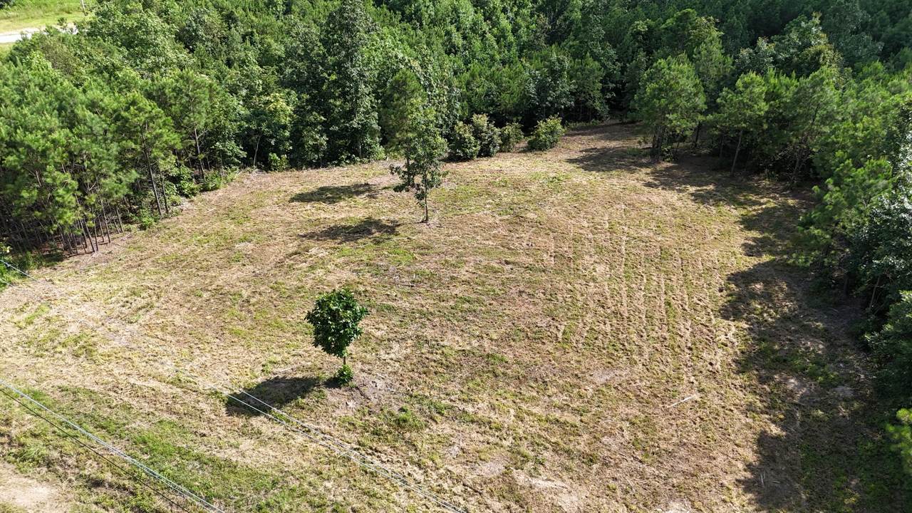 7696 Old Hohenwald Rd - Photo 1