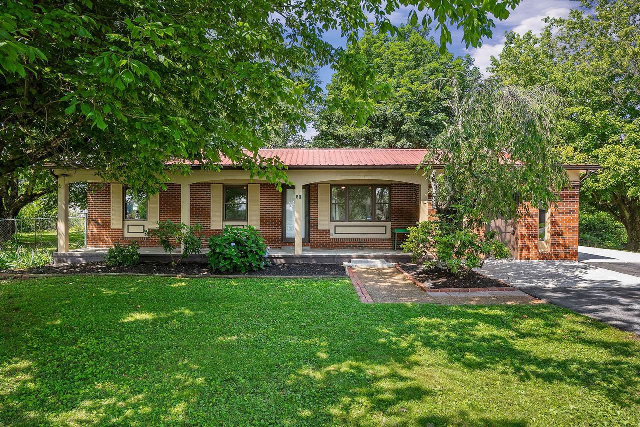 46 Plateau Firetower Rd - Photo 1