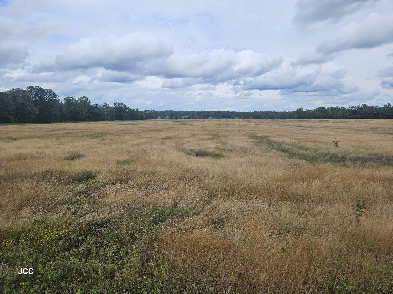 0 Jacksboro Trail - Photo 1