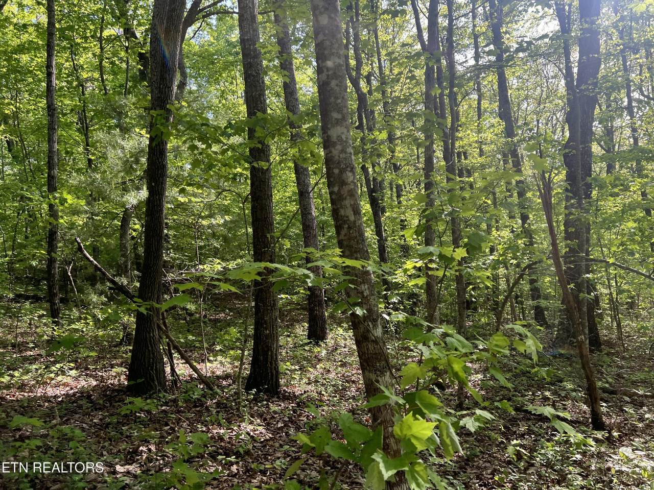 https://bt-photos.global.ssl.fastly.net/nashville/1280_boomver_1_RTC2930402-1.jpg