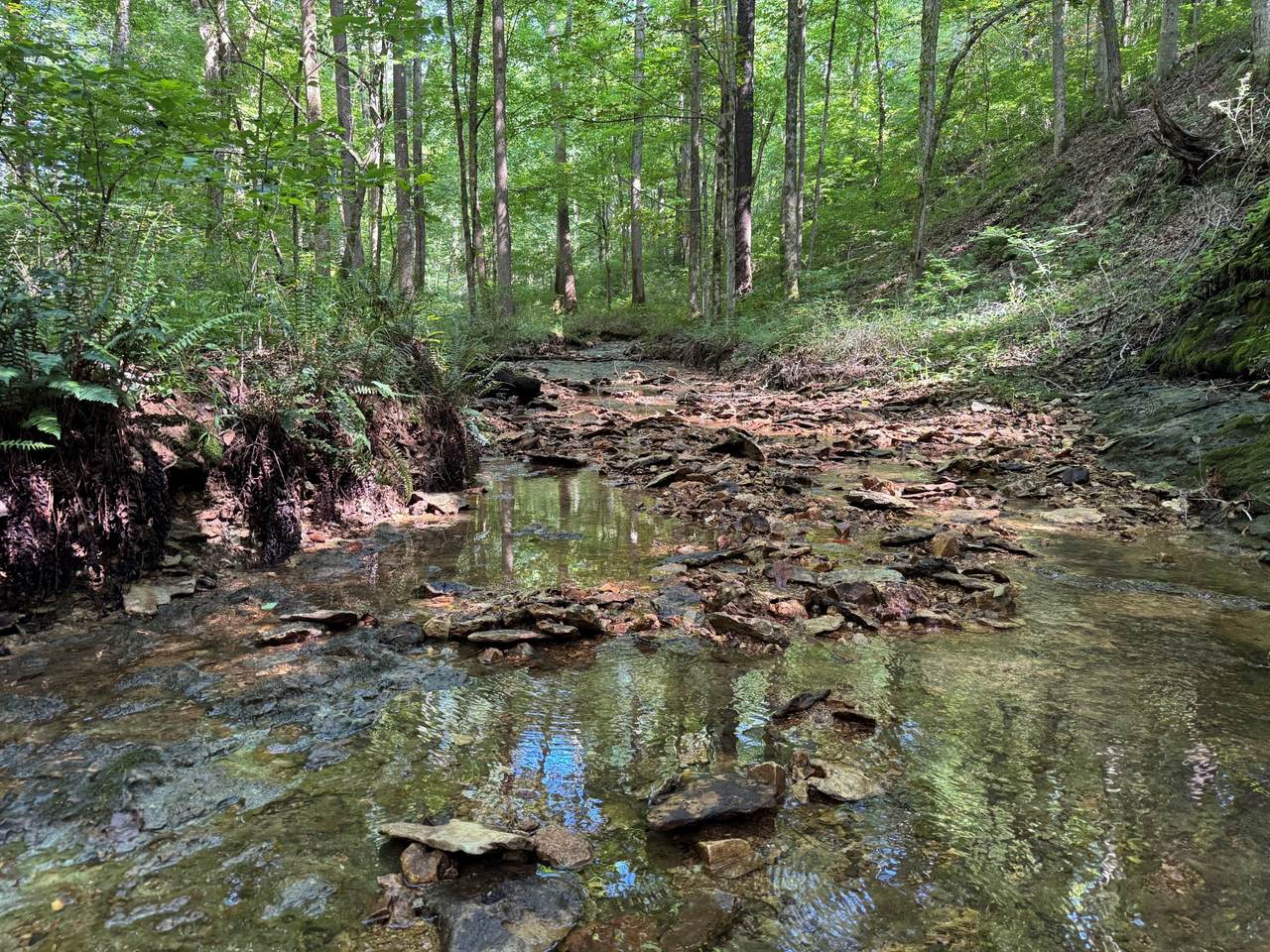 https://bt-photos.global.ssl.fastly.net/nashville/1280_boomver_1_RTC2931731-1.jpg