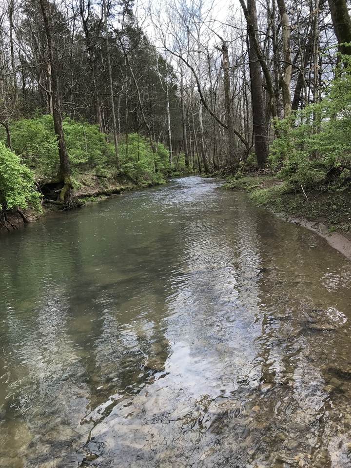 2390 Benders Ferry Rd - Photo 1