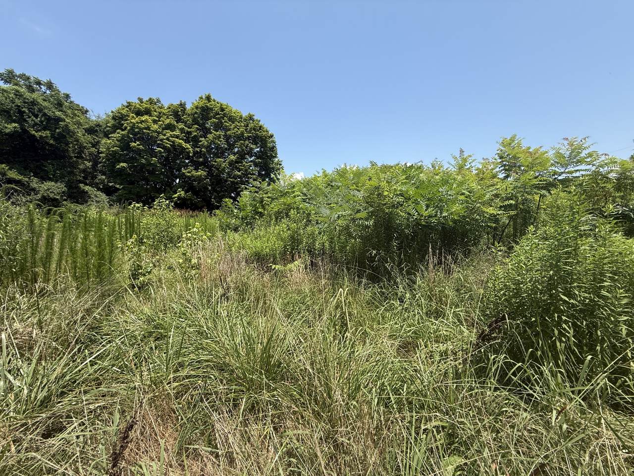 60 Lees Ford Ln - Photo 1