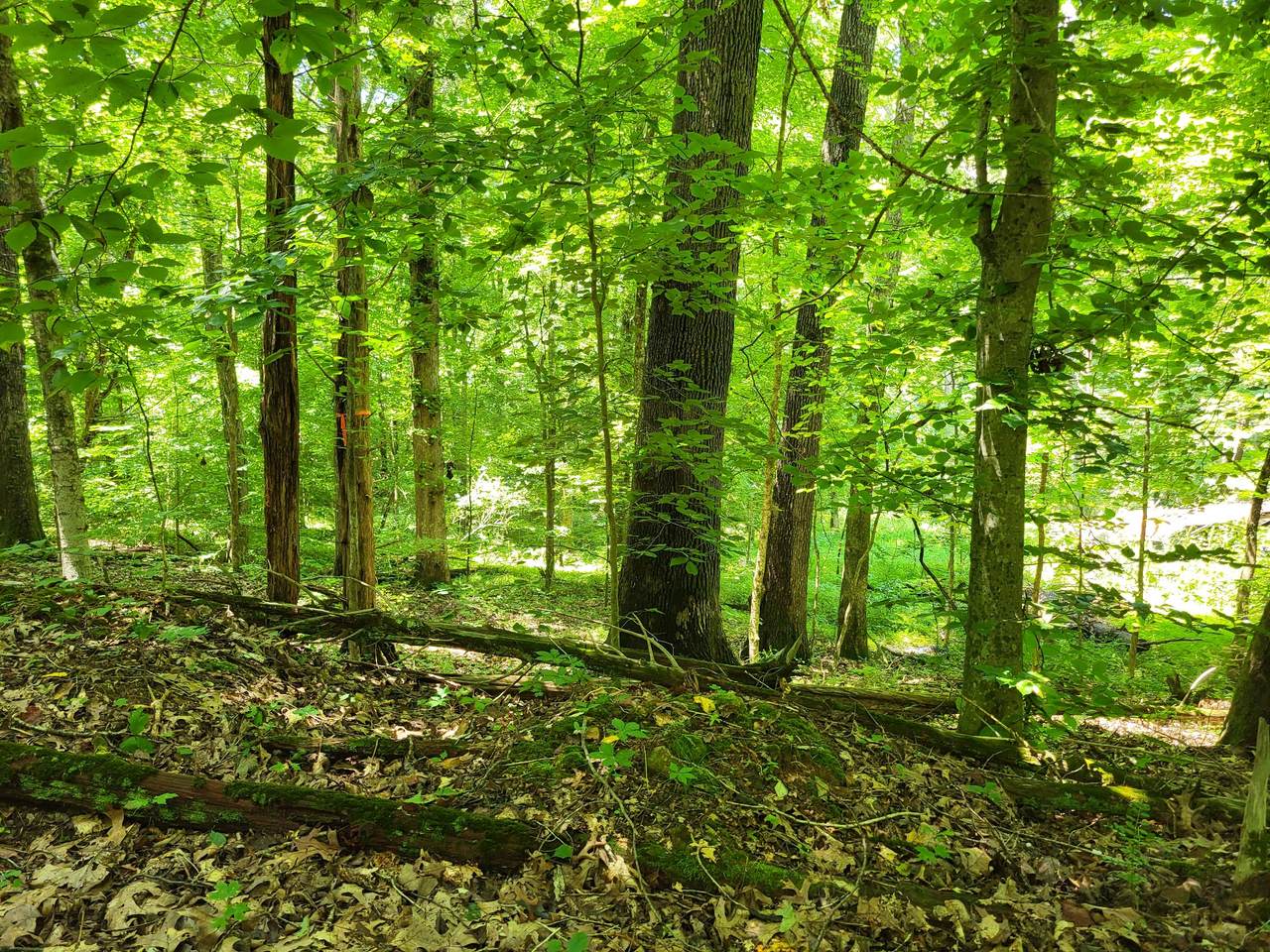 1 Indian Creek Rd - Photo 1