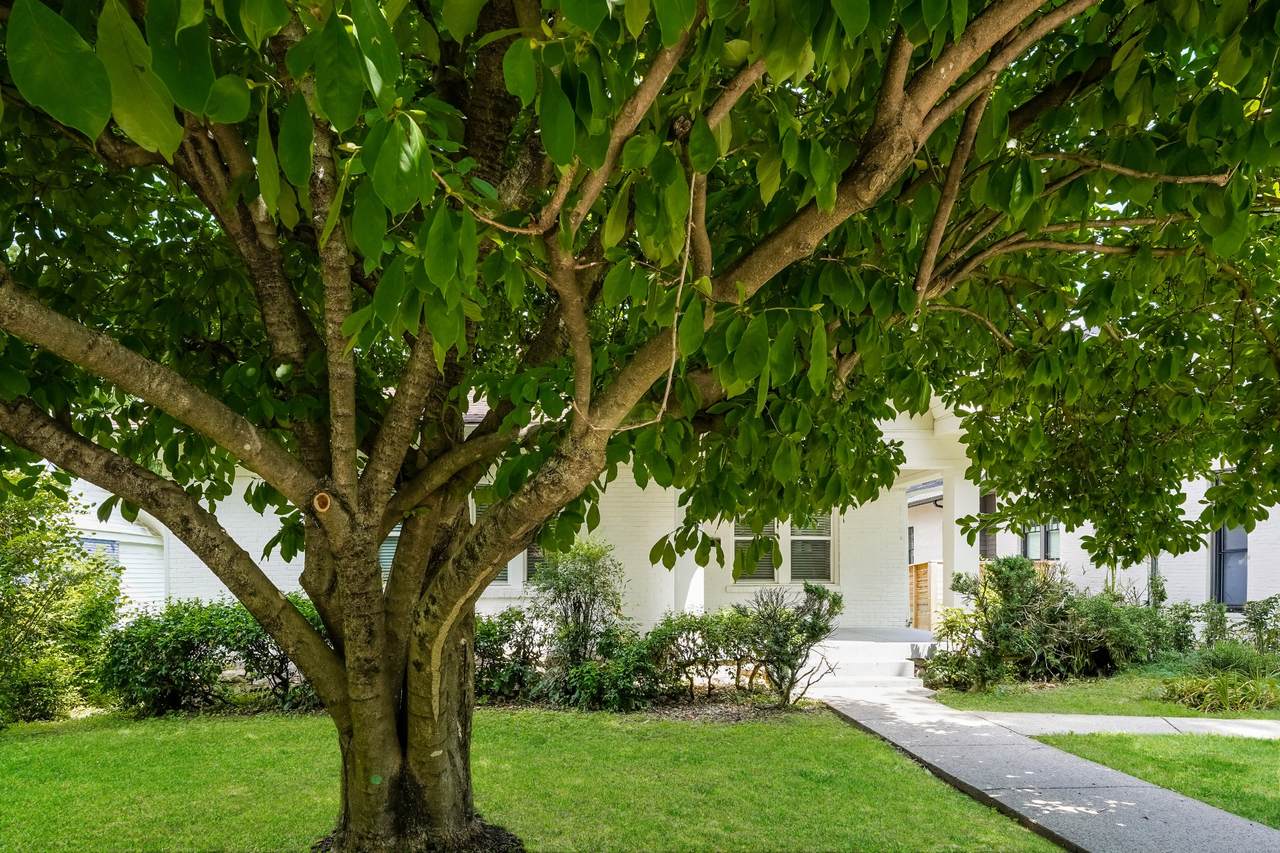 1508 Villa Pl - Photo 1