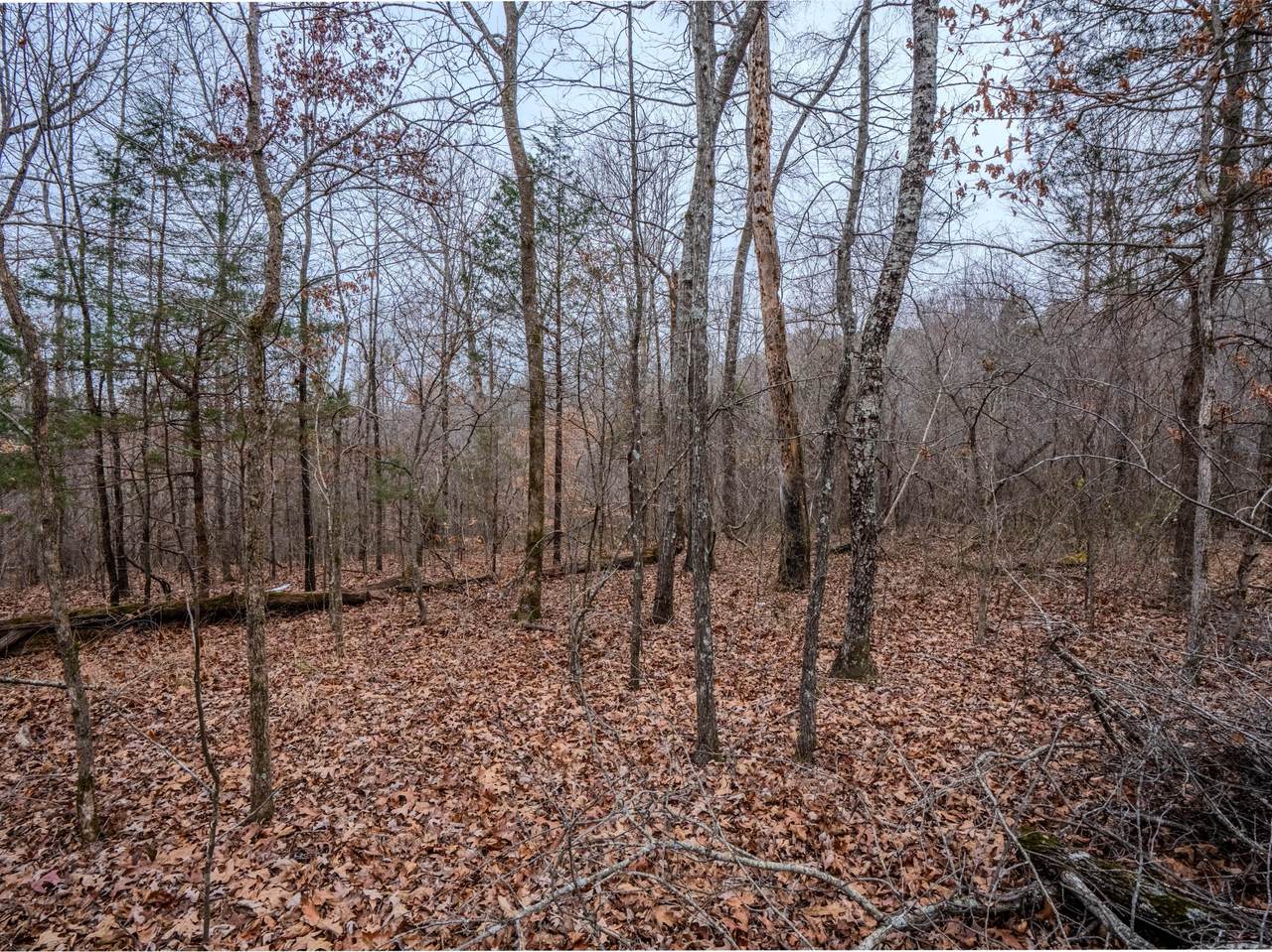 https://bt-photos.global.ssl.fastly.net/nashville/1280_boomver_1_RTC2941208-1.jpg