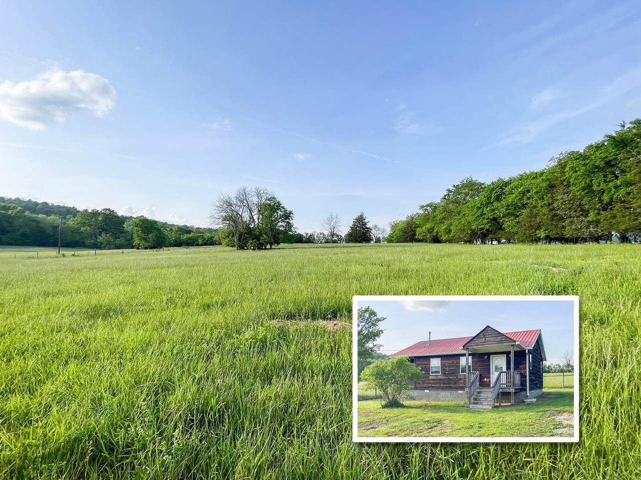 12297 Elrod Mcelroy Rd - Photo 1