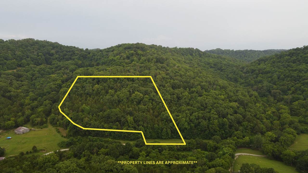 0 Hackett Hollow Ln - Photo 1