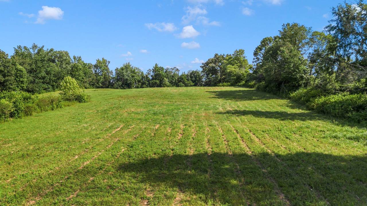 1517 Highway 70 - Photo 1