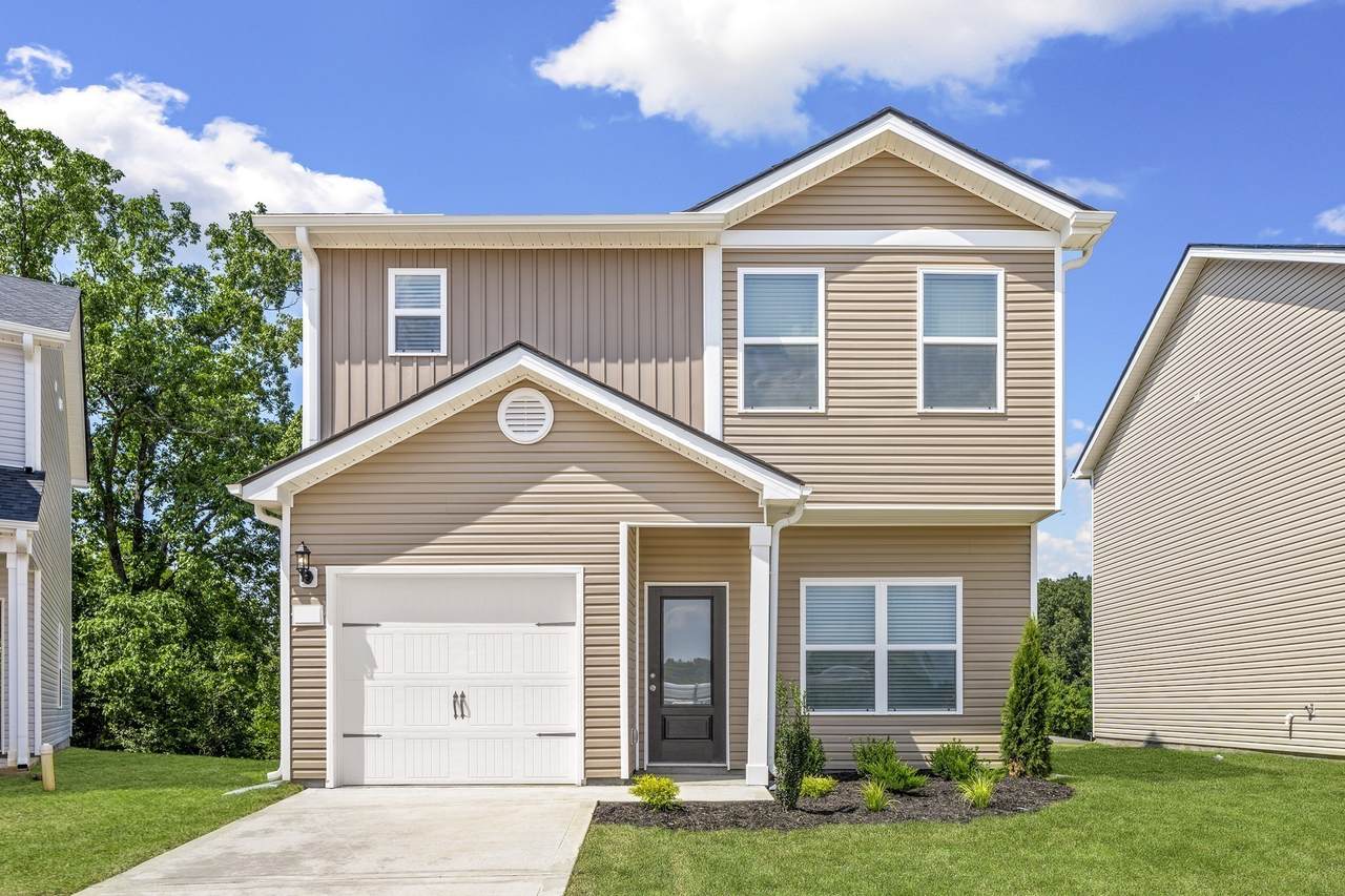2036 Lala Loop - Photo 1