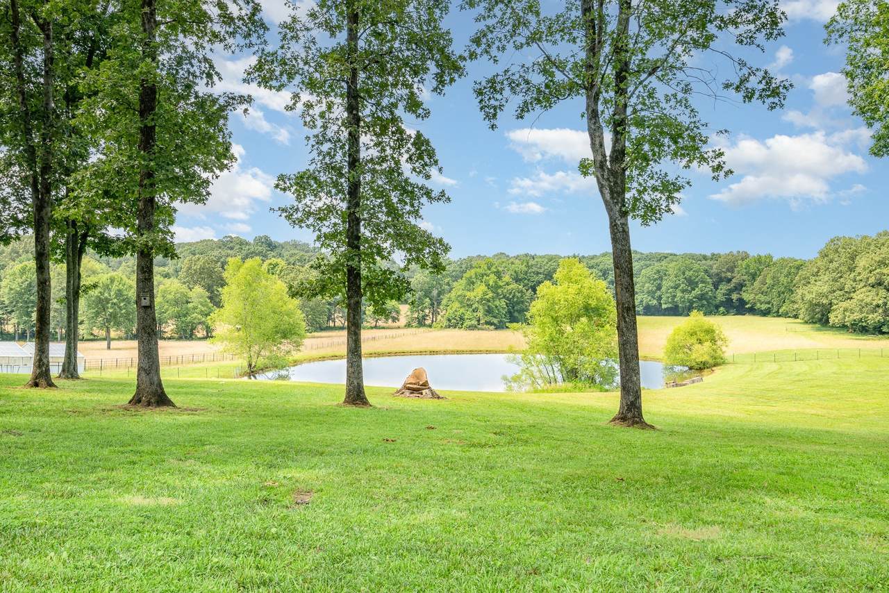 https://bt-photos.global.ssl.fastly.net/nashville/1280_boomver_1_RTC2946129-1.jpg